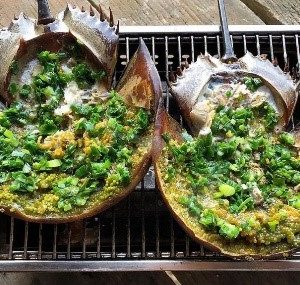 Bọ Biển Nướng Mọi