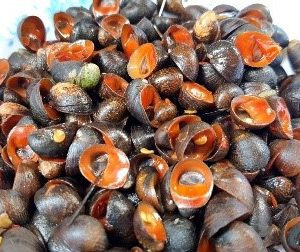 Ốc Dừa Xào Bơ