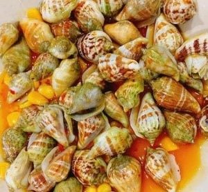 Ốc Nhảy Rang Muối